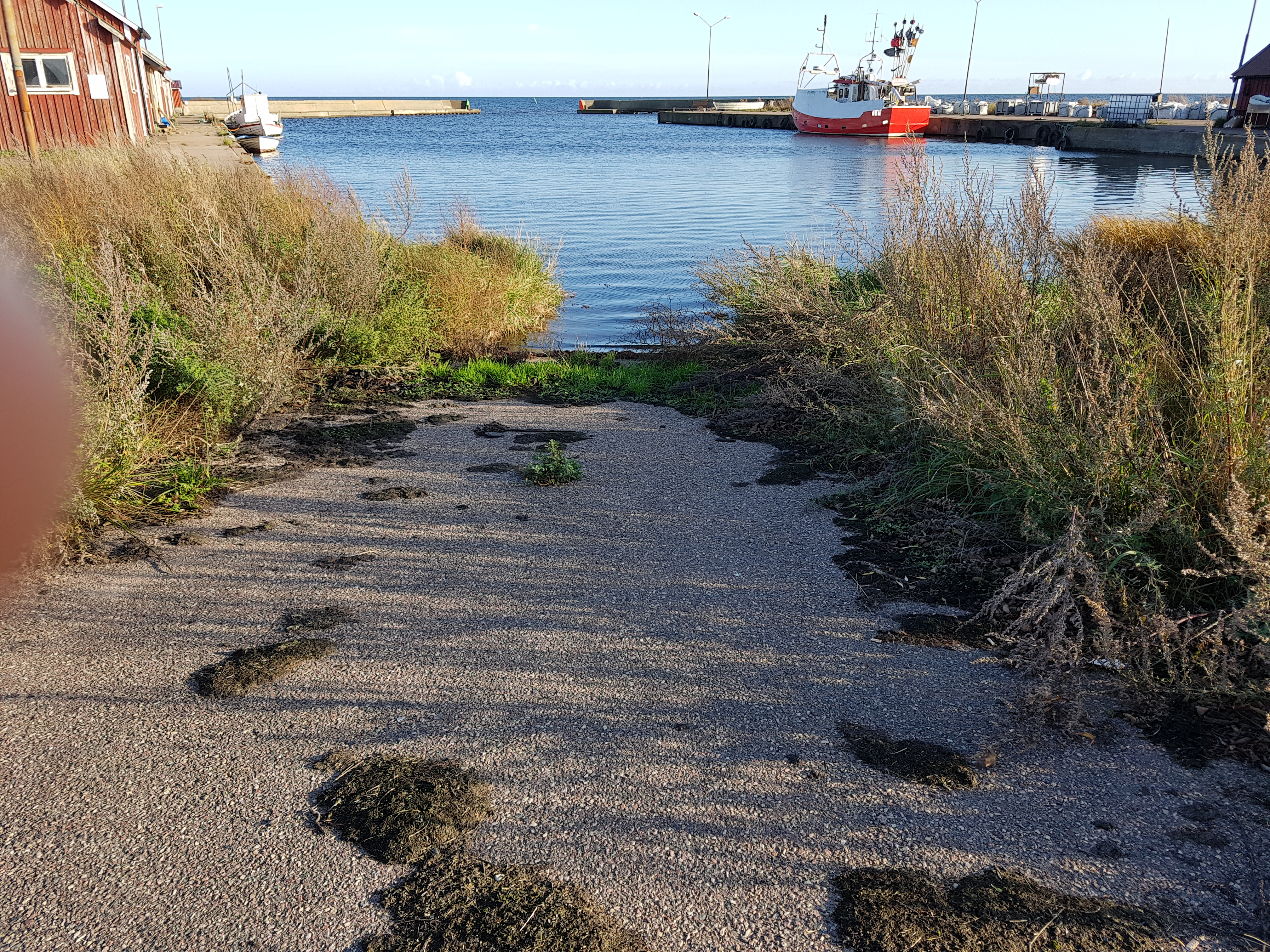 Gräsgårds hamn Östersjön