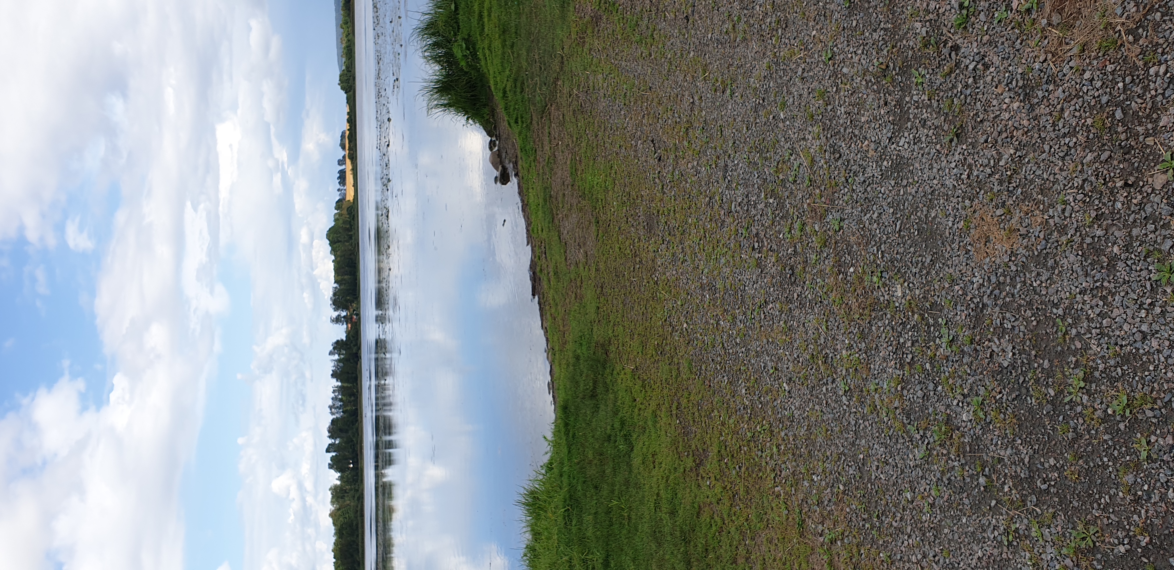 Sjötorpasjön Odensberg